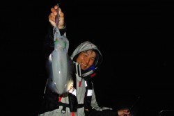 South Current 釣果