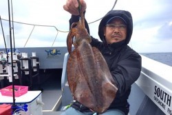 South Current 釣果