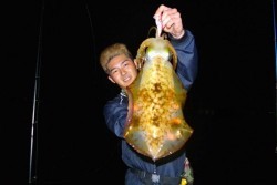 South Current 釣果