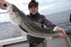 ワープゾーン 釣果