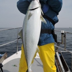 ワープゾーン 釣果