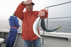 ワープゾーン 釣果