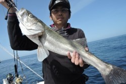 ワープゾーン 釣果