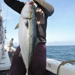 ワープゾーン 釣果