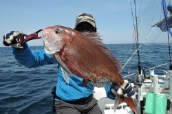 ワープゾーン 釣果