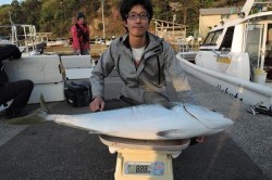 ワープゾーン 釣果