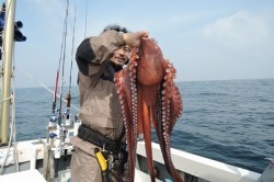 ワープゾーン 釣果