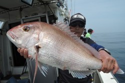 ワープゾーン 釣果