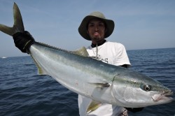 ワープゾーン 釣果