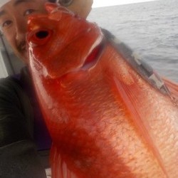 明日丸 釣果