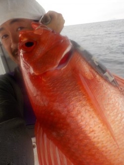 明日丸 釣果