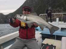 第八 源洋丸 釣果