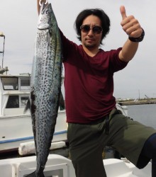 ＪＤＩ　Ｒａｃｉｎｇ　シールズマリンレジャー 釣果