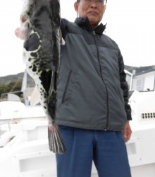 ＪＤＩ　Ｒａｃｉｎｇ　シールズマリンレジャー 釣果