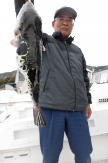 ＪＤＩ　Ｒａｃｉｎｇ　シールズマリンレジャー 釣果