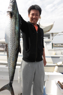 ＪＤＩ　Ｒａｃｉｎｇ　シールズマリンレジャー 釣果