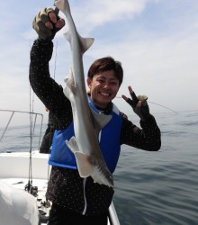 ＪＤＩ　Ｒａｃｉｎｇ　シールズマリンレジャー 釣果