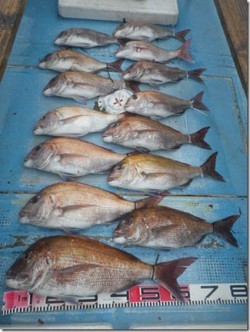 からこと丸 釣果