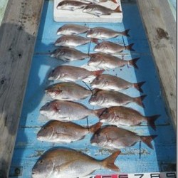 からこと丸 釣果