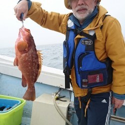 リトルワン 釣果