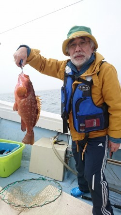 リトルワン 釣果