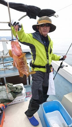 リトルワン 釣果