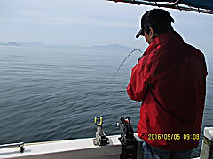 遊漁船 未紗奈 釣果