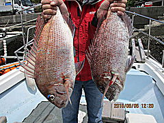 遊漁船 未紗奈 釣果