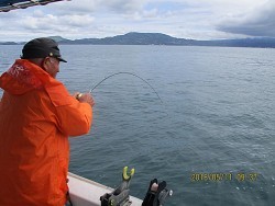 遊漁船 未紗奈 釣果