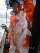 遊漁船 未紗奈 釣果
