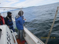 遊漁船 未紗奈 釣果