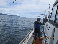 遊漁船 未紗奈 釣果