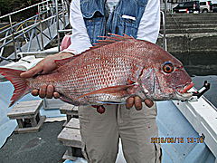 遊漁船 未紗奈 釣果