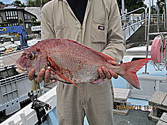 遊漁船 未紗奈 釣果