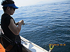 遊漁船 未紗奈 釣果