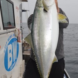 ジギング船 BLUEWATER 釣果