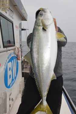 ジギング船 BLUEWATER 釣果