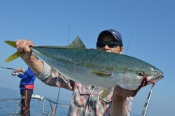 ジギング船 BLUEWATER 釣果