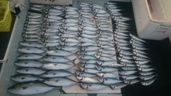 エムズジャーク（M’s JERK） 釣果