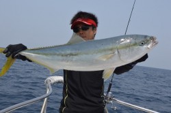 ジギング船 BLUEWATER 釣果