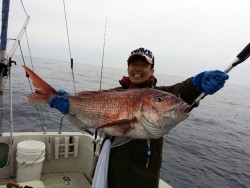 鯛多ニック 釣果