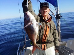 鯛多ニック 釣果