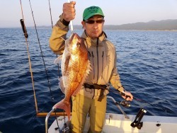 鯛多ニック 釣果