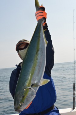 ジギング船 BLUEWATER 釣果