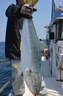 ジギング船 BLUEWATER 釣果