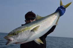 ジギング船 BLUEWATER 釣果