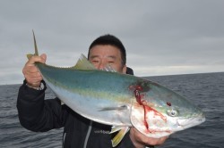 ジギング船 BLUEWATER 釣果