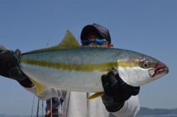 ジギング船 BLUEWATER 釣果