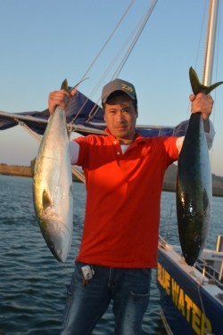 ジギング船 BLUEWATER 釣果