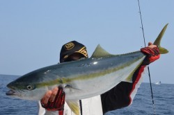 ジギング船 BLUEWATER 釣果